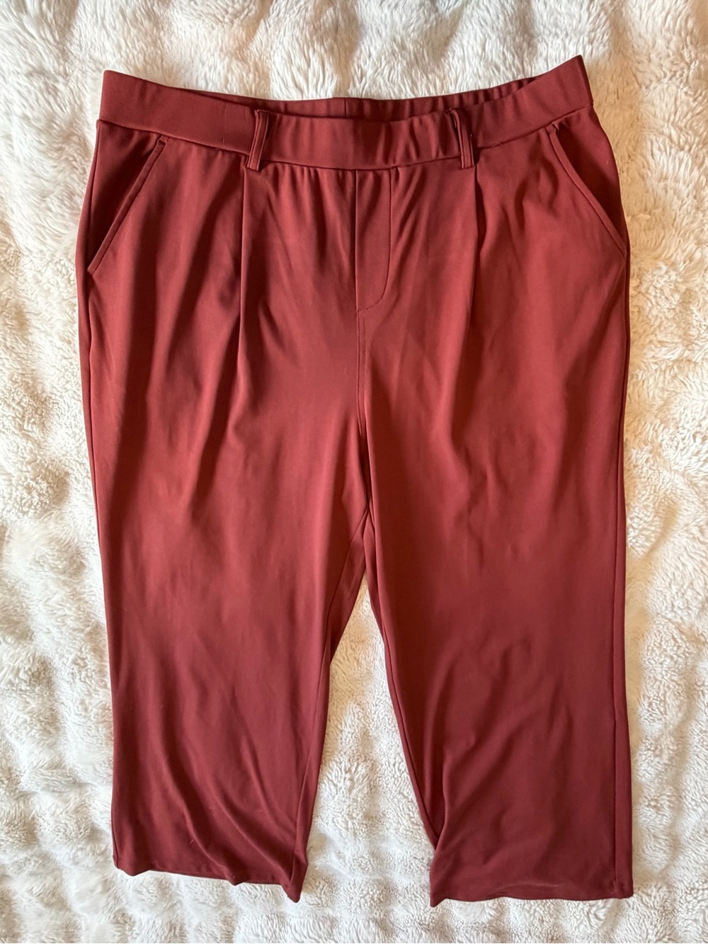 Bobeau 1X Rust Wide Leg Pleat Pants NWOT Stretch Pockets